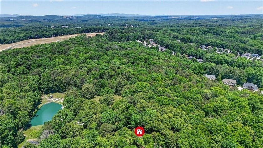 Tucked away on 2.5 beautiful usable acres, 421 Lusk Court offers - photo 47