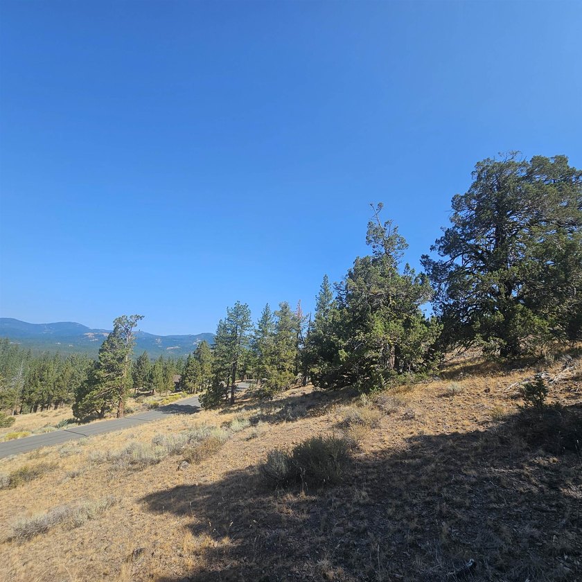 Magificent Mountain Vistas Await You. Breathtaking! When you - photo 14