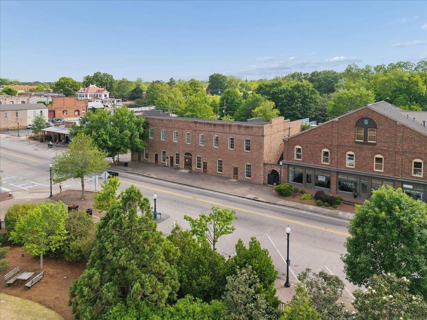 Charming downtown Madison condo located directly across from - photo 31