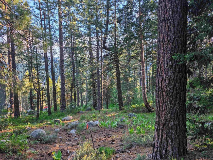 We are proud to offer 15444 Cedar Point Dr, a fantastic - photo 14