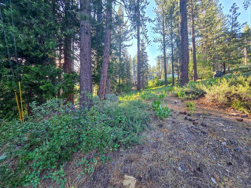 We are proud to offer 15444 Cedar Point Dr, a fantastic - photo 17