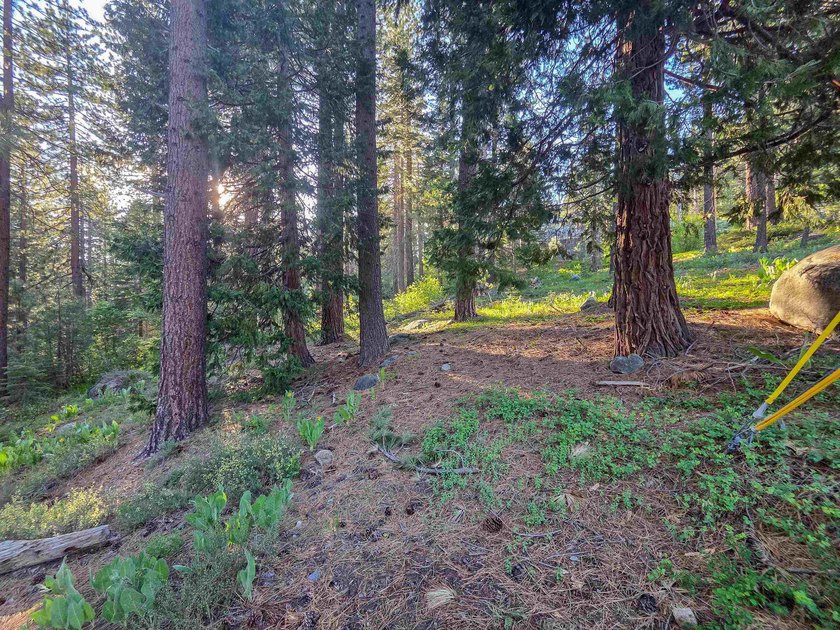 We are proud to offer 15444 Cedar Point Dr, a fantastic - photo 19