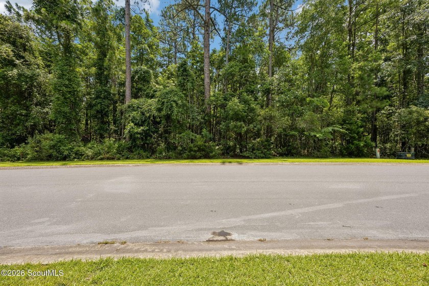 Build your dream home on this 1.33 acre residential lot located - photo 33
