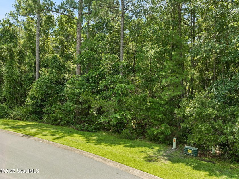 Build your dream home on this 1.33 acre residential lot located - photo 36