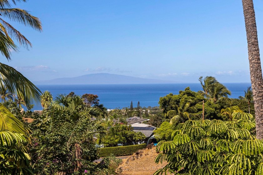 Discover one of Maui Meadows' hidden gems at the end of a quiet - photo 3