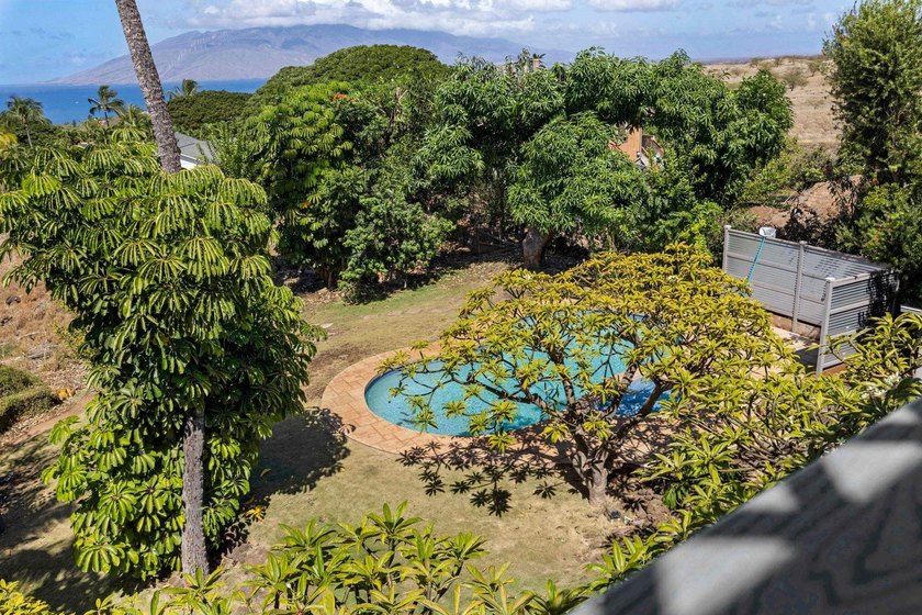 Discover one of Maui Meadows' hidden gems at the end of a quiet - photo 4