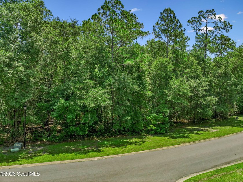 Build your dream home on this 0.68 acre residential lot located - photo 15