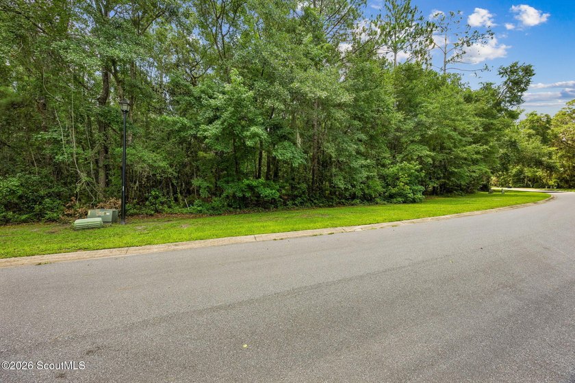 Build your dream home on this 0.68 acre residential lot located - photo 16