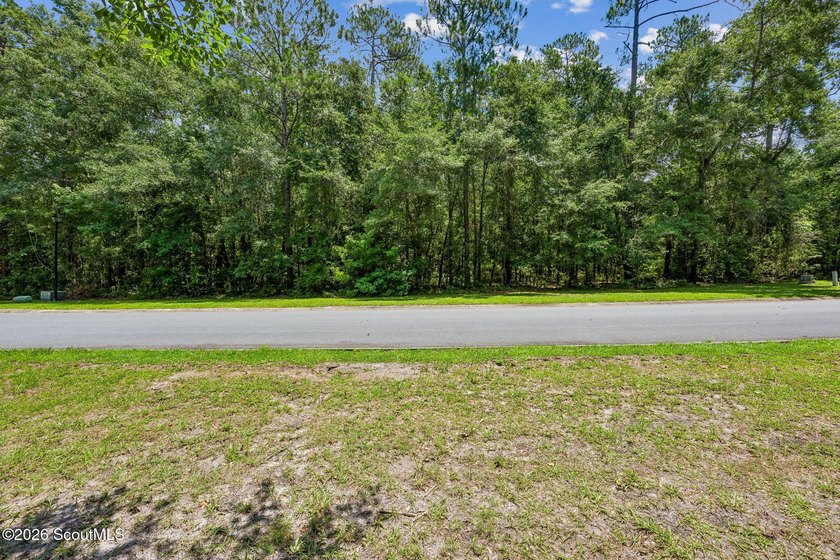 Build your dream home on this 0.68 acre residential lot located - photo 18
