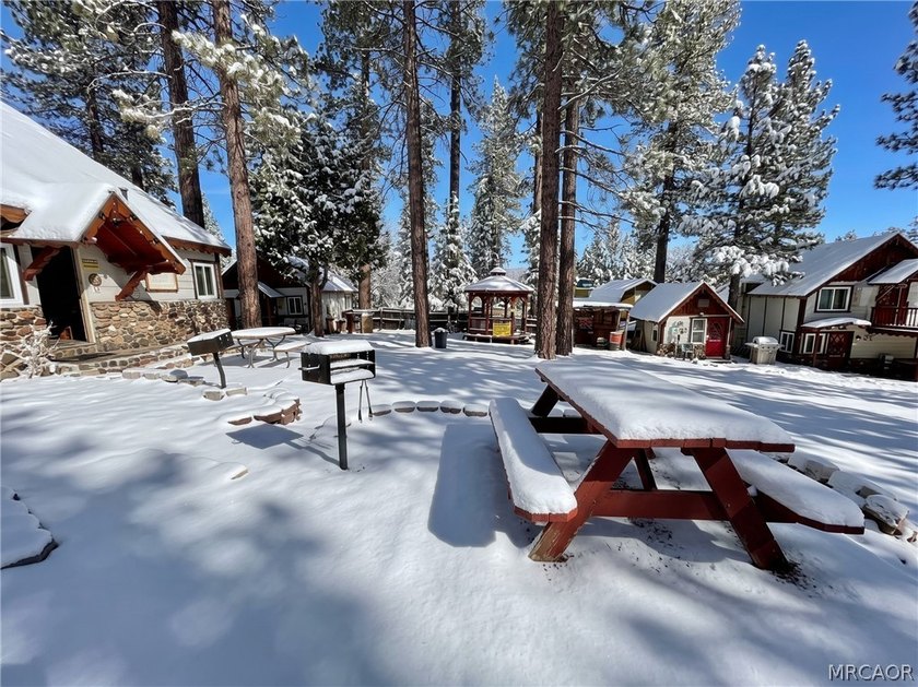 SELLER FINANCING AVAILABLE / TERMS NEGOTIABLE Welcome to Tulip - photo 36