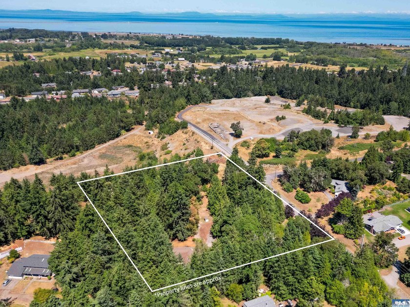 Perched on 2.29 private acres on a flat ridge in the heart of - photo 44