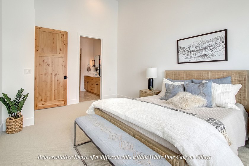 White Pine Canyon Village is a luxury home development located - photo 11