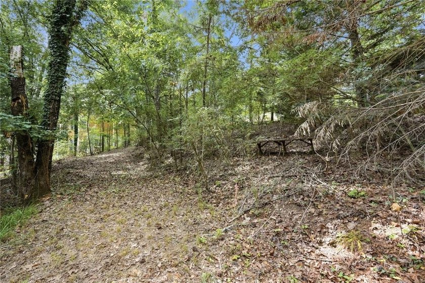Build your dream lake home on this exceptional waterfront lot in - photo 6