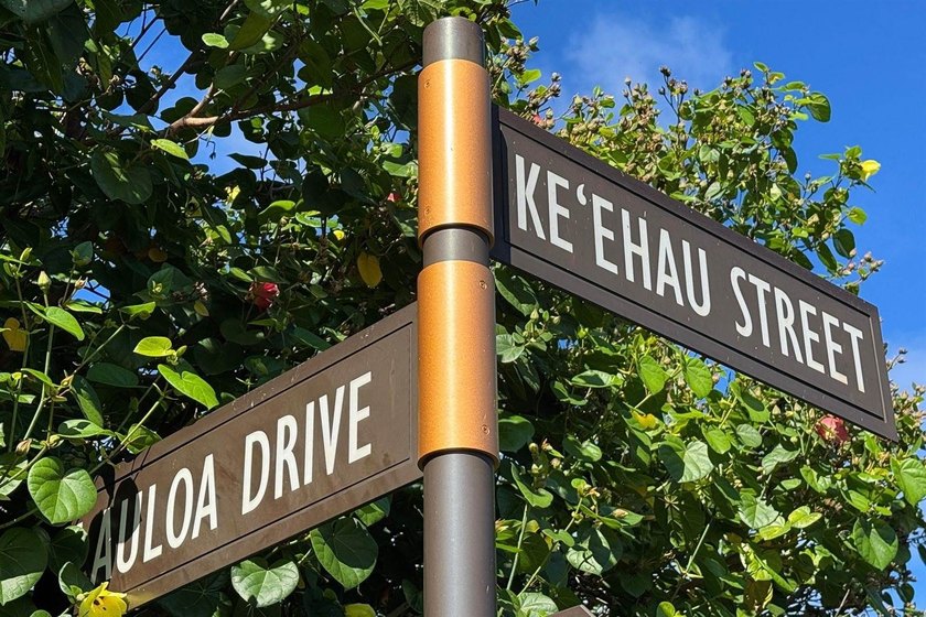 E Komo Mai to Hokuli'a Lot #123 - South Kona Living at Its - photo 17