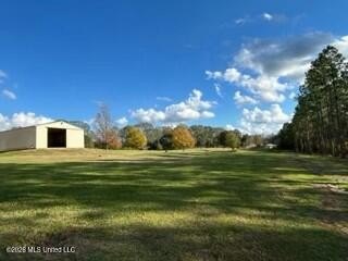 Welcome to 1021 Elarton Rd in Osyka, MS! This property offers - photo 18