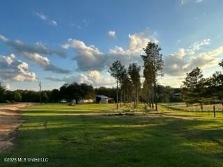 Welcome to 1021 Elarton Rd in Osyka, MS! This property offers - photo 22