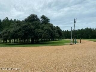 Welcome to 1021 Elarton Rd in Osyka, MS! This property offers - photo 23