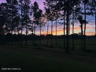 Welcome to 1021 Elarton Rd in Osyka, MS! This property offers - photo 24