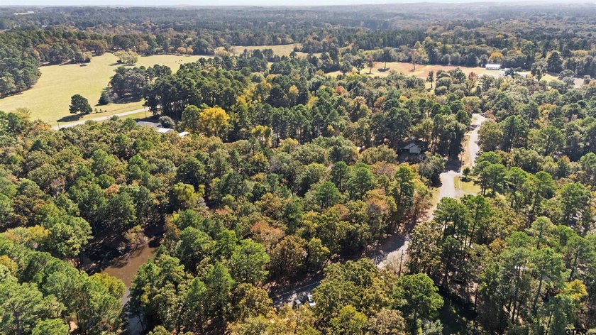 Discover your perfect retreat on this stunning .52-acre lot - photo 5