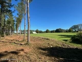 Welcome to 1021 Elarton Rd in Osyka, MS! This property offers - photo 26