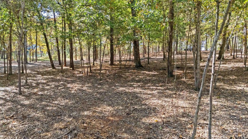 Discover your perfect retreat on this stunning .52-acre lot - photo 8