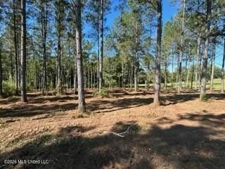 Welcome to 1021 Elarton Rd in Osyka, MS! This property offers - photo 28