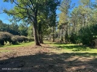 Welcome to 1021 Elarton Rd in Osyka, MS! This property offers - photo 30