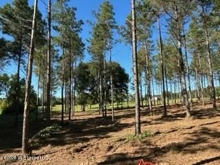 Welcome to 1021 Elarton Rd in Osyka, MS! This property offers - photo 31