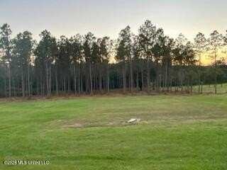 Welcome to 1021 Elarton Rd in Osyka, MS! This property offers - photo 32