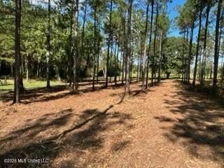 Welcome to 1021 Elarton Rd in Osyka, MS! This property offers - photo 33