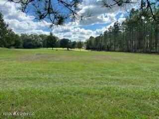 Welcome to 1021 Elarton Rd in Osyka, MS! This property offers - photo 34