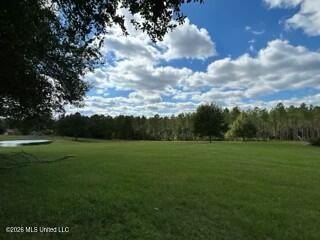 Welcome to 1021 Elarton Rd in Osyka, MS! This property offers - photo 36