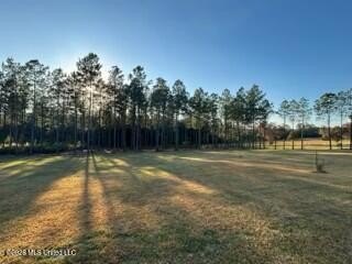 Welcome to 1021 Elarton Rd in Osyka, MS! This property offers - photo 38