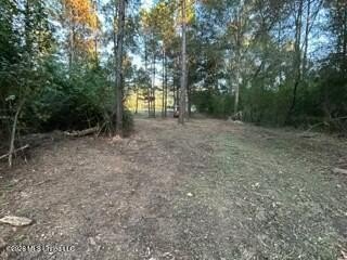Welcome to 1021 Elarton Rd in Osyka, MS! This property offers - photo 40