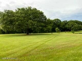 Welcome to 1021 Elarton Rd in Osyka, MS! This property offers - photo 42