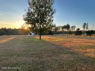 Welcome to 1021 Elarton Rd in Osyka, MS! This property offers - photo 44