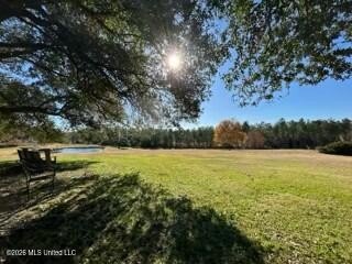 Welcome to 1021 Elarton Rd in Osyka, MS! This property offers - photo 45