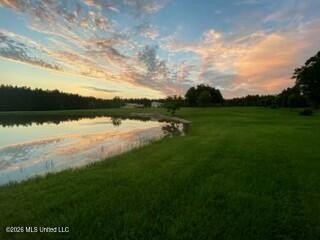 Welcome to 1021 Elarton Rd in Osyka, MS! This property offers - photo 46
