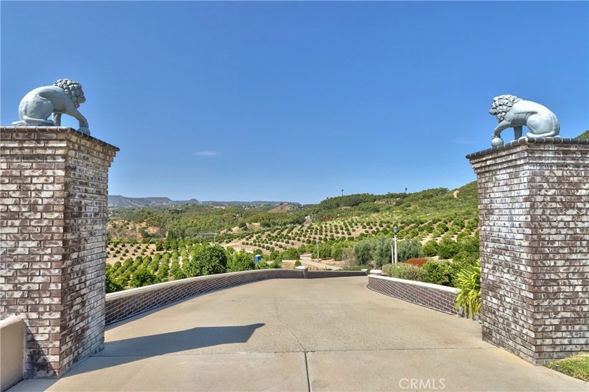 Positioned atop 20.22 fully fenced and gated acres, this stately - photo 8