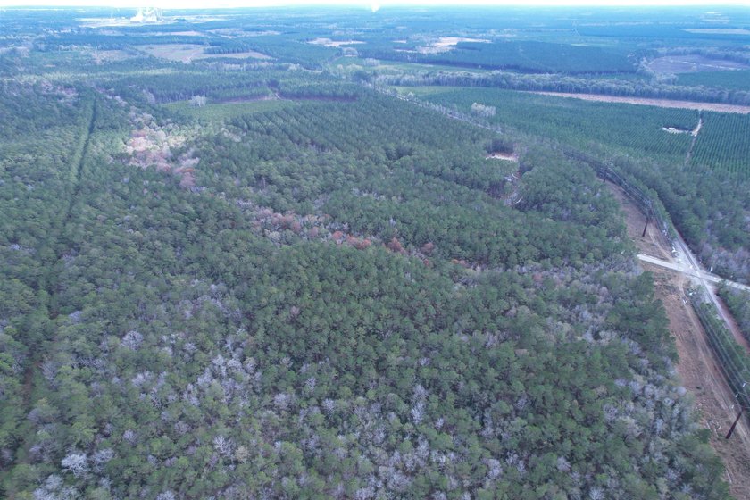 5.49 acres located on Pennyroyal Road in Georgetown, SC. Located - photo 14