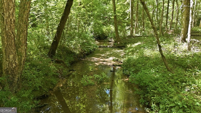 PICTURESQUE NORTHEAST GEORGIA SETTING OF 3 PRIVATE, WOODED ACRES - photo 2