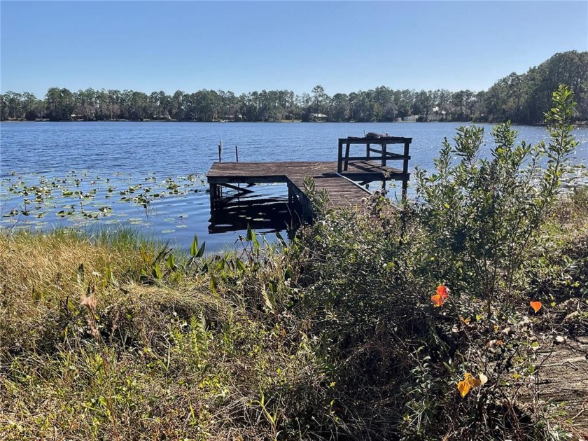 283 RILEY LAKE DRIVE, Hawthorne, FL 32640, 3371782