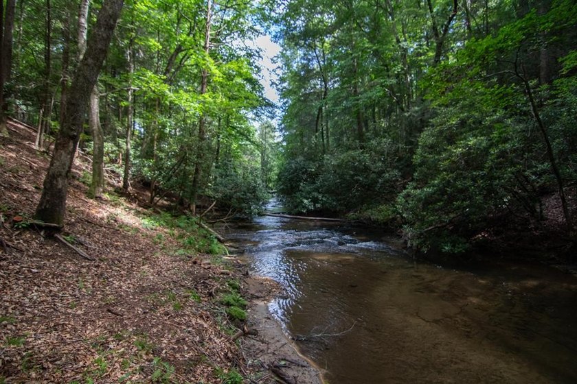 CREEK FRONT..... Experience mountain living at its finest with - photo 14