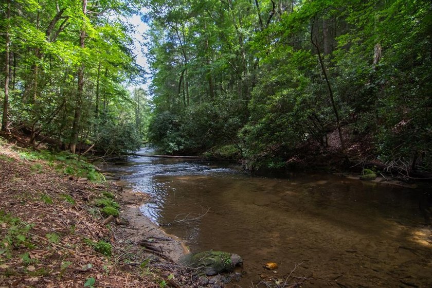 CREEK FRONT..... Experience mountain living at its finest with - photo 15
