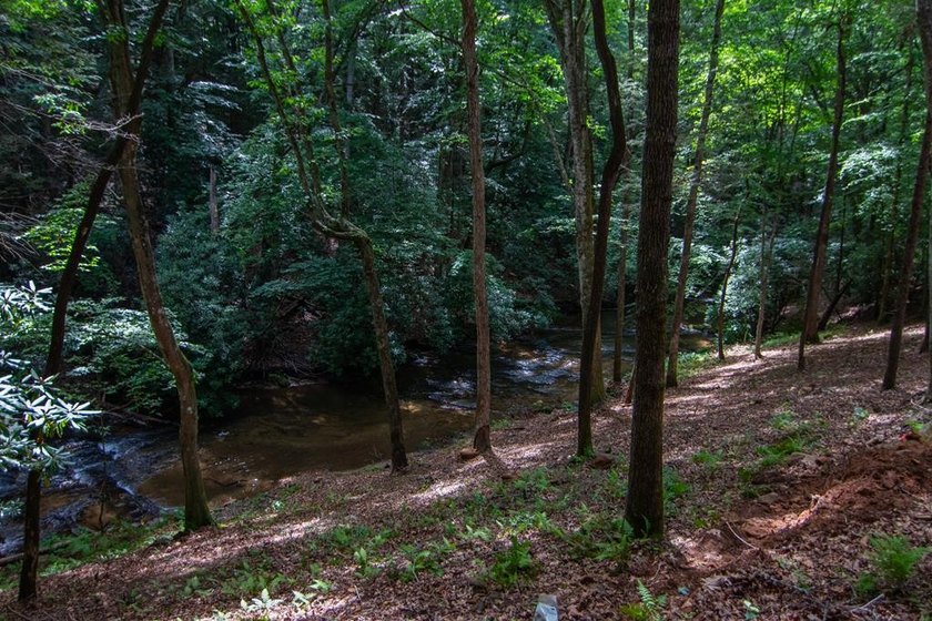 CREEK FRONT..... Experience mountain living at its finest with - photo 41