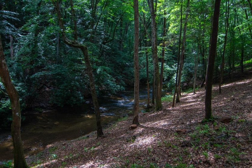 CREEK FRONT..... Experience mountain living at its finest with - photo 42