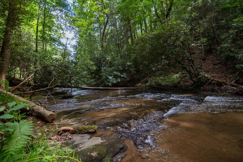 CREEK FRONT..... Experience mountain living at its finest with - photo 44