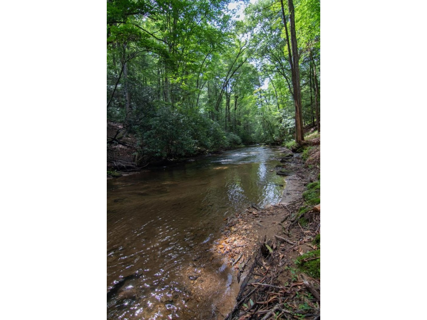CREEK FRONT..... Experience mountain living at its finest with - photo 46