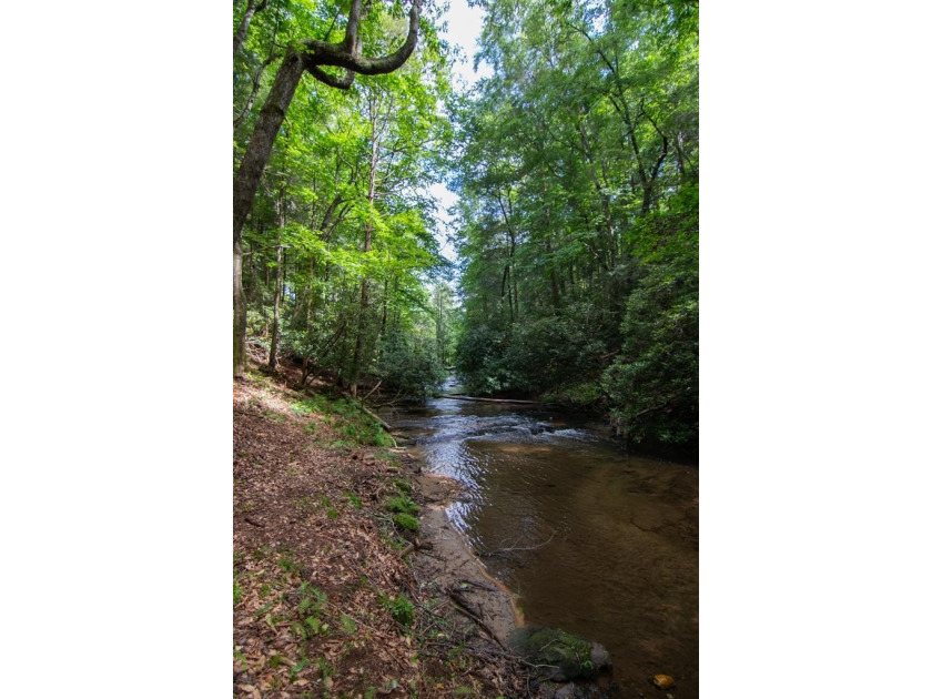 CREEK FRONT..... Experience mountain living at its finest with - photo 47