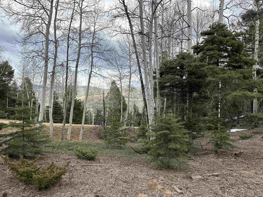Tall pine, aspen and VIEWS make this 10 acre parcel in - photo 3